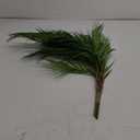 2Pcs Realistic Fake Sago Cycas Leaves Plastic Plants for Housewarming Present Vivid Greenery Garden Ornament for Home Office Indoor Outdoor