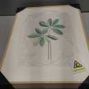 Framed Boho Sage Green Botanical Wall Art for Living Room, Farmhouse Minimalist Plant Artwork for Walls, 4 piece Vintage Leaf Picture Prints for Bathroom Bedroom Kitchen Wall Decor, 12x16 Inch