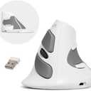 DELUX Ergonomic Vertical Mouse Wireless, Rechargeable Vertical Mouse, Bluetooth/2.4G Dual Mode, Slient Click, Removable Wrist Rest, 800/1200/1600DPI Levels, 6 Buttons, for Laptop/PC (M618G DB-White)