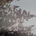 BRogeh Fall Art Mountain Landscape Print Autumn Trees Large Wall Art Posters Canvas Prints Painting Wall Decor Art Picture Artwork Home Decor for Living Room for Gifts 16x24inch(40x60cm) (Frame-style)