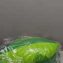 Big Joe Pool Petz Small Alligator, No Inflation Needed Animal Floating Pool Toy Float, Mesh