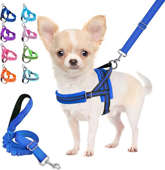 Lukovee Dog Harness and Leash Set, Soft Padded Small Dog Harness, Neck & Chest Adjustable Reflective Vest Puppy Harness with 4ft Lightweight Anti-Twist Dog Leash for Small Dogs (Purple, Medium) (M ( Chest 21.2'' ~ 26.7''))