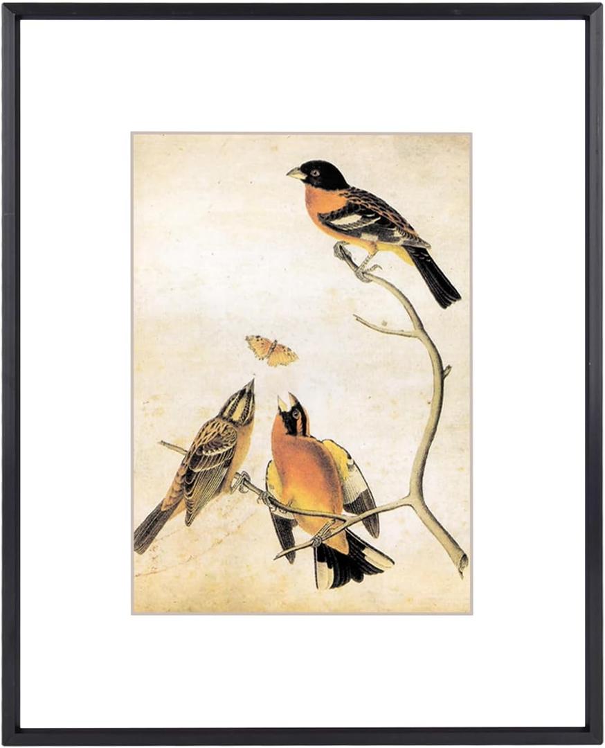 BKABOT 8x10 Picture Frame, Black Aluminum Metal Photo Frames with HD Glass, Fits 5x7 with Mat or 8 x 10 without Mat, Display for Wall and Table