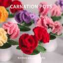 2 x Crochet Flowers Cute Potted Flower Birthday Teachers Day Graduation Anniversary Christmas Valentines Decor for Car Dashboard Home Office Decoration (Red Gorgeous Carnation)