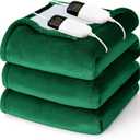Heated Electric Blanket Queen Size - 84" x 90" Heating Blanket with Dual Control, 10 Heating Levels & 8 Hours Auto Off, Soft Warm Flannel Blanket, Christmas Birthday Gifts for Senior Grandma