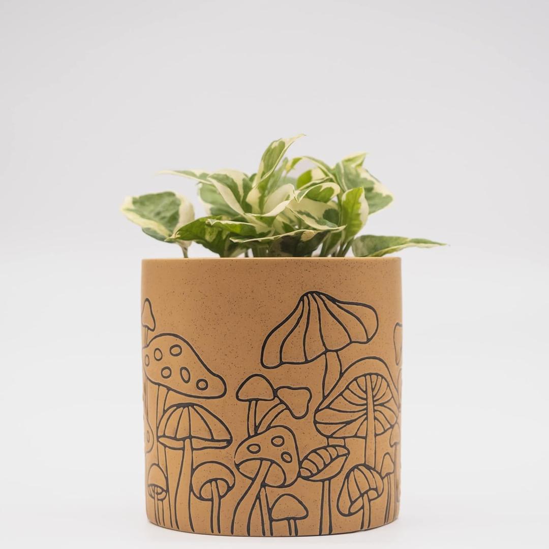 BASE ROOTS Mushroom Planter, Speckled Terracotta, Indoor/Outdoor, Holds Small Plants