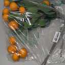 3 PCS Artificial Tangerine Branches, Simulation Orange Branch, Kumquat Tangerine Branch Lifelike Fake Fruit Props with Green Leaves for Decorative Fruit Flower Arrangement Photography Props