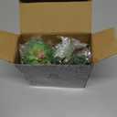 HappyHapi 12 Pcs Artificial Succulents Mini Fake Plants Unpotted Faux Succulent for Craft, Small Plastic Succulents Assortment in Flocked Green Floral Decor for Party, Cake, Garden & Outdoor