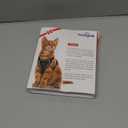 Kazylab Cat Harness and Leash for Walking, Escape Proof Soft Adjustable Vest Harnesses for Cats, Easy Control Breathable Reflective Strips Jacket, Emerald, Medium