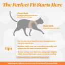 Rabbitgoo Cat Harness and Leash Set for Walking Escape Proof, Adjustable Soft Kittens Vest with Reflective Strip for Cats, Comfortable Outdoor Vest,Light Orange,M