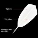 Gold Series Feather Shuttlecock (Pack of 10) | Durable Badminton Birdies for Training & Match Play