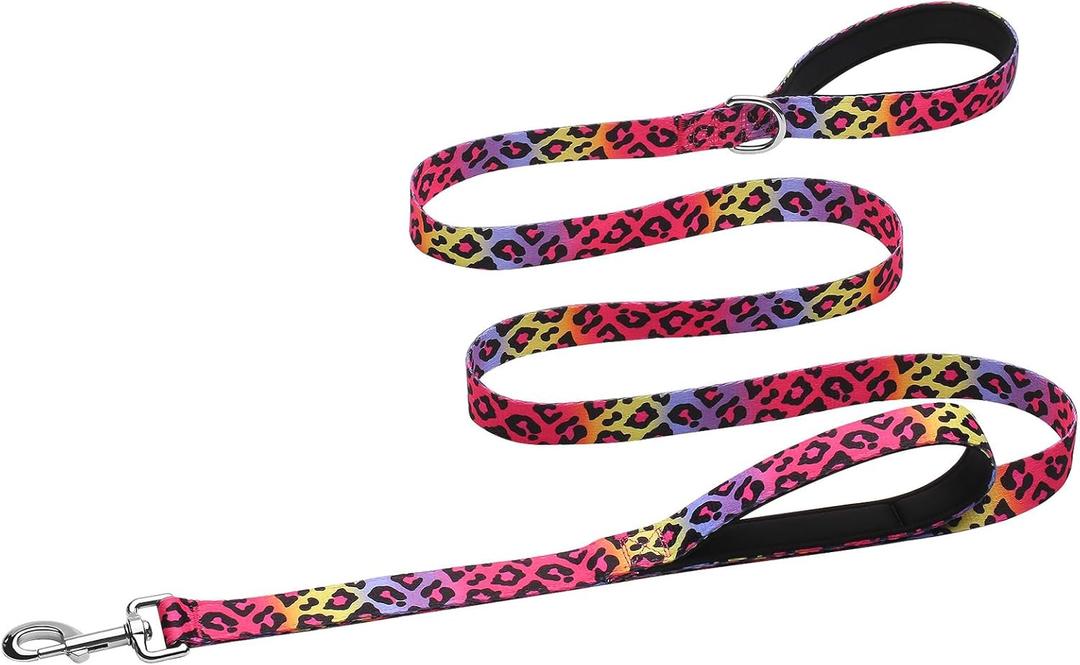 Hikiko Padded Two-Handle Dog Leash 6 Ft for Medium to Large Dogs, Strong Traffic Handles Lead for Walking Training (Gradient Leopard) (1 in x 6 ft)