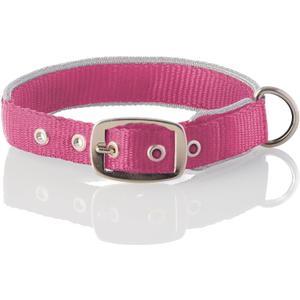 Pet Passion Adjustable Silver Trimmed Dog Collar for Pets Small, Medium and Large Dogs, Silver/Hot Pink, X-Large