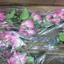 Artificial Tree Faux Bougainvillea Tree 4ft Tall Fake Bougainvillea Plant in Pot Fake Silk Tree Faux Plants Indoor(2pack)