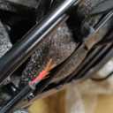 Gyroor C1 Plus Electric Scooter for Adults with Seat & Pet Basket - 30 Miles Range 650W Motor 48V 13.5Ah Battery 18.6MPH 14" Pneumatic Tires Foldable Design Dual Shock Absorbers 300lbs Capacity