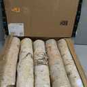 Birch Logs 6Pack Birch Wood for Fireplace Decor/DIY Natural Gas Fireplace Fire logs Fireplace Wood Logs for Decor, DIY, Crafts, Fire Pit (1.6"-2.4"(6Pcs))