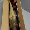 Mattel Jurassic World Rebirth Distortus Rex Rumble N Rampage Dinosaur Action Figure 22 Inch with 2 Attack Actions, Content-Accurate, Digital Play