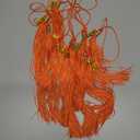 Chuangdi 10 Pieces 2025 Grad Graduation Tassels Graduation Cap Tassels with 2025 Charms Graduate Hat Decoration for School Party Favors(Orange)