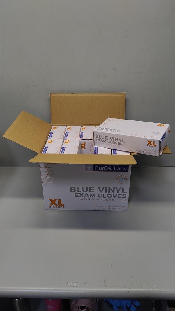 Blue Vinyl Exam Gloves 10 Pack XL