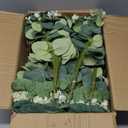 Giegxin 270 Pcs 3 Kinds Mixed Artificial Eucalyptus Leaves Stems Bulk Silver Dollar Leaves Picks Dried Eucalyptus Bundle Faux Spray for Wedding Vase Bouquet Floral Arrangement (Green)