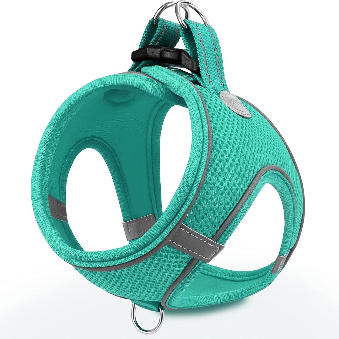 Joytale Small Dog Harness, Breathable Mesh Step-in Vest, Reflective Soft Padded Harnesses for Cats and Puppies Dogs, Teal, XXXS