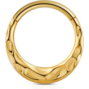 FINE4U ASTM F136 Titanium Seamless Hinged Clicker Ring, 16G 8mm 10mm Nose Ring Hoop for Daith, Septum, Cartilage Earring