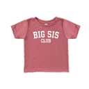CM C&M WODRO Big Sister Shirt Toddler Baby Girl Big Sis Club Letters Print T-Shirt Tees Kid Summer Short Sleeve Clothes (Pink,2-3 Years)