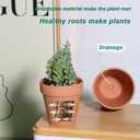 vensovo 3 Inch Terra Cotta & Terracotta Pots with Drainage - 20 Pack Clay Flowerpots, Succulent Nursery Planter Great for Plants, Crafts, Wedding Favor