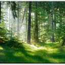 Morning Sunlight Forest Large Stretched Canvas Wall Art for Living Room Bedroom Home,Mordern Woods Scenery Picture Print Painting Decor Artwork,Green Landscape Gallery Wrapped Gift,Inner Frame(24x48) (Green Nature Tree & Grassland (D211))