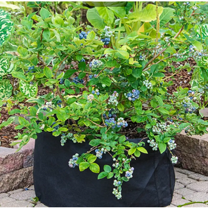 20 Gallon Grow tub with Labels 18 1/4*18 1/4* 14 1/2