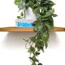 MY ROVALA Silk Plants for Home Decor Indoor in Pot Realistic Artificial Plants Hanging Faux Plants Indoor Fake Potted Plants for Shelves Bedroom Bathroom Trailing Plant, Fake Pothos Ivy (Dark Green)