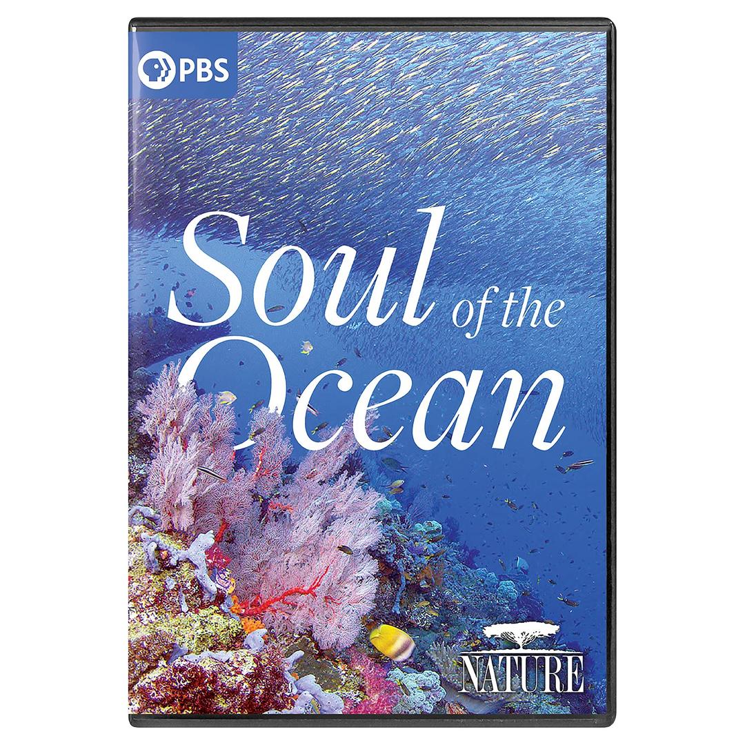 Nature: Soul Of The Ocean, DVD
