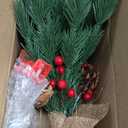 2ft Tabletop Christmas Tree, 24" Mini Small Christmas Tree with Timer 30 LED Warm Lights, Realistic-Feel PE Norfolk Pine Frosted Branches Red Berry Pincone Cloth Base Indoor Home Christmas Decorations (Flocked White-24 Inch)