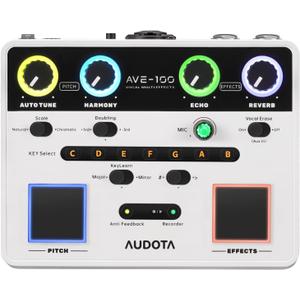 AVE-100 Multi-Effect Vocal Processor - Triple Intelligent Loop Cancellation, OTG Audio Interface for Singers, Podcasters, Live Streaming & Home Studio