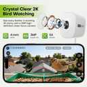 Smart Bird Feeder with Window Camera, 2K HD Camera for Window Viewing, AI BirdSpecies Recognition & Instant Alerts, Sturdy Acrylic Outdoor, Alexa Compatible, Gift for Bird Lovers