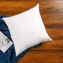 JA COMFORTS 28x28 Premium Goose Down Feather Throw Pillow Inserts(Set of 1)-5% Down Filling,High Filling Weight,250 TC Cotton Cover, Square, White