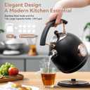 Rasonic Retro Electric Kettle Stainless Steel, 1.8L Tea Water Boiler, 1500W Fast Quiet Boil, Temperature Gauge, Auto Shut-Off, Boil-Dry Protection, Matt Black and Rose Gold