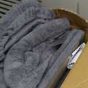 Pawfessor Small Cat Tree Tower for Large Cats with Spacious Top Bed 20x13.8” Private Cat Condo, Sisal Scratching Post and Ramp, and Self Groomer and Spring Ball-Dark Grey