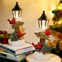 Glintoper 2 Pack Christmas Lighted Table Decorations, Tabletop Figurine, Battery Operated (Red Cardinal)