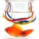 Heat Shrink Spade Female Male Wire Quick Disconnect Terminlas Connectors Electrical Electronics Automotive Crimp AWG 22-10 (620pcs 40j)