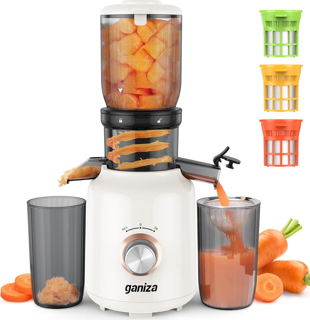 Ganiza Juicer Machines, Cold Press Juicer with Large Feed Chute for Whole Fruits & Vegetables, Slow Masticating juicers with 3 Replace Filters for Batch Juicing, Easy to Clean, BPA Free (White)