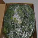 N&T NIETING 9ft Christmas Cedar Garland with Realistic Soft Thickness Pine, Artificial Green Faux Cedar Pine Garland for Fireplace Mantle Fireplace Indoor Outdoor Holiday Party Home Decoration