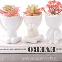 HEYO-YEPY 3PCS Cute Artificial Plant Office Decor for Women and Men, Aesthetic Desk Plant Decor for Office and Home, Potted Small Fake Plants for Indoor Decoration, White Pots Pink Plants