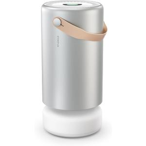 Molekule Air Pro Air Purifier - Purifies Rooms Up to 1000 Sq Ft with High Foot Traffic - FDA Cleared for Destruction of Viruses, Bacteria & Mold - Silver