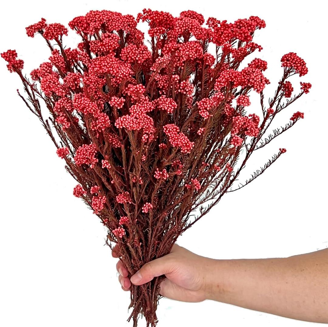17 Inches Natural Dried Millet Flower Bouquet for Decor, 22-25 Stems Home and Wedding Decoration (Red)