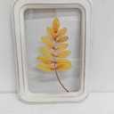 12.8in Clear Wall Sign Leaf Yellow