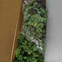 Babys Breath Artificial Flowers, 8 Bundles Green Real Touch Fake Flowers Silk Flowers Bulk for Vase Home Office Wedding Spring Indoor Outdoor Centerpiece Table Party Decorations