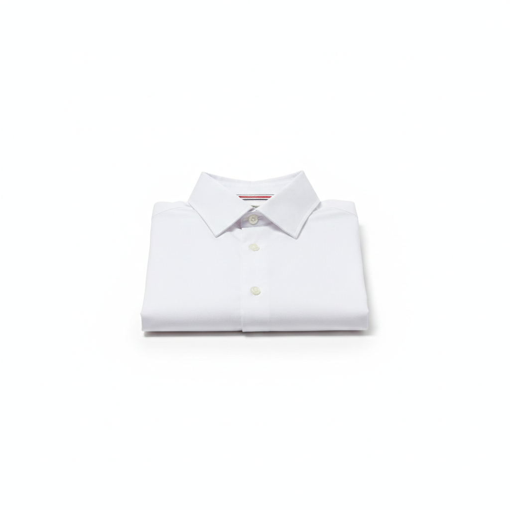 Alimens & Gentle Men's Dress Shirt Regular Fit Stretch Stain Shield Long Sleeve Solid Business Wedding Button Down Shirts (Large, White)