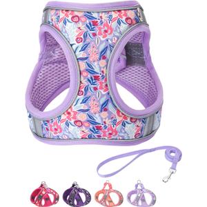 Step in Dog Harness and Leash Set, Flower Adjustable Easy Walk Puppy Harnesses, Soft Mesh Pet Vest Harness Small Size Dog Adjustable No Pull Dog Harness for Small Dogs and Cats(Light Purple, XS)