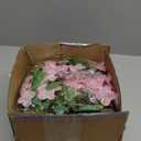 Sggvecsy 6Pcs Wisteria Garland Artificial Flowers Garland Fake Hanging Wisteria Vines Rattan Silk Hanging Flower Vines for Home Garden Outdoor Wedding Arch Party Ceremony Total 35.4Ft (Pink)